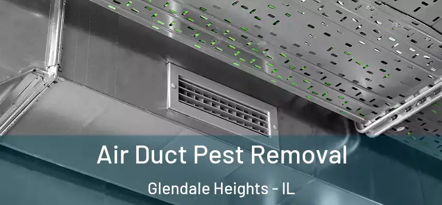 Air Duct Pest Removal Glendale Heights - IL
