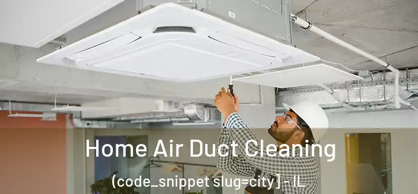  Home Air Duct Cleaning (code_snippet slug=city] - IL