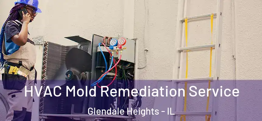  HVAC Mold Remediation Service Glendale Heights - IL