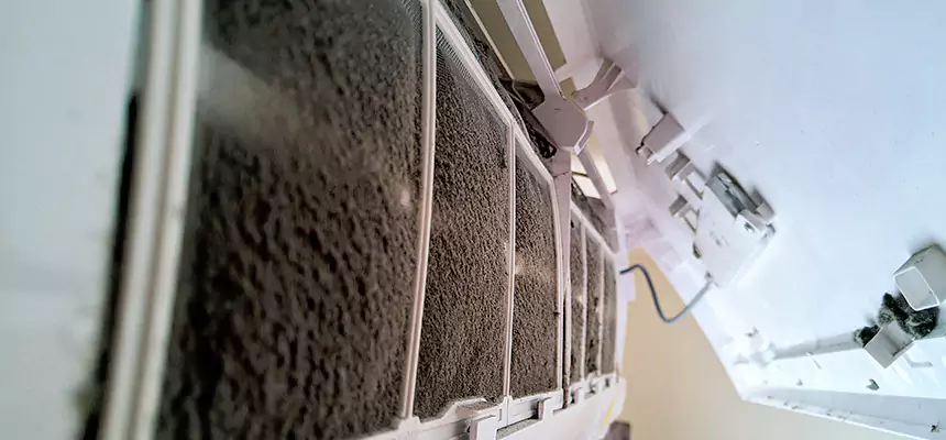 Preventive Air Duct Bacteria Removal in Glendale Heights