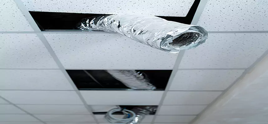 Affordable HVAC Sanitizing After Pest Removal in Glendale Heights