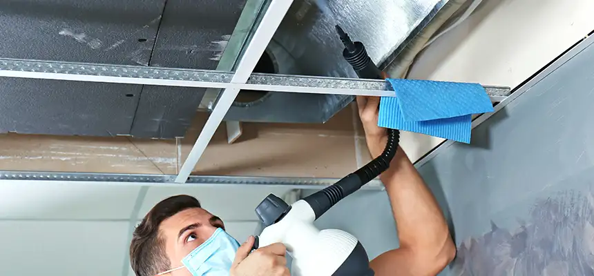 Our Air Duct Rodent Removal Services in Glendale Heights, IL