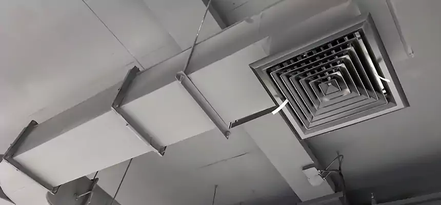 Restorative Allergy Relief Vent Cleaning – Coil, Blower & Housing Detail in Glendale Heights