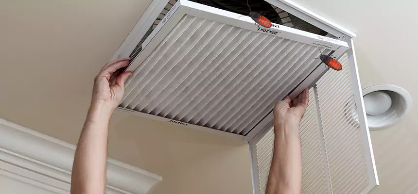Our Insect Removal from Air Ducts Services in Glendale Heights, IL