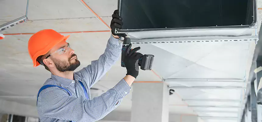 Roof Cap & Exterior Hood Lint Buildup Removal – Glendale Heights