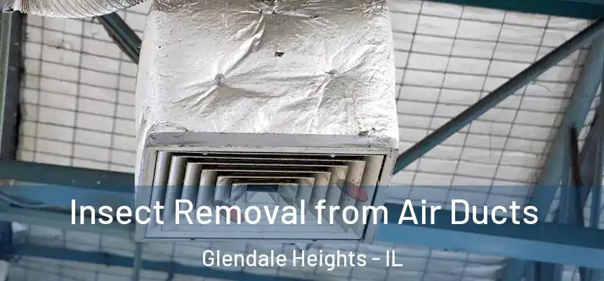  Insect Removal from Air Ducts Glendale Heights - IL