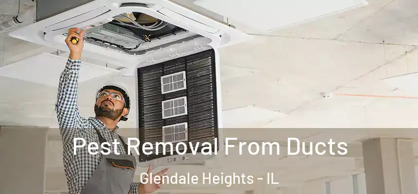  Pest Removal From Ducts Glendale Heights - IL