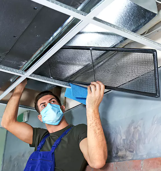About Air Duct Bacteria Removal in Glendale Heights
