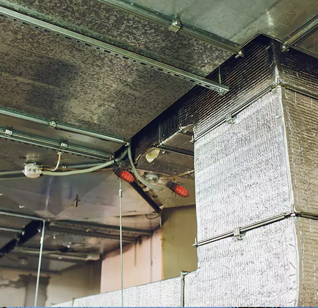 Why Homeowners & Businesses Trust Us in Glendale Heights, IL?