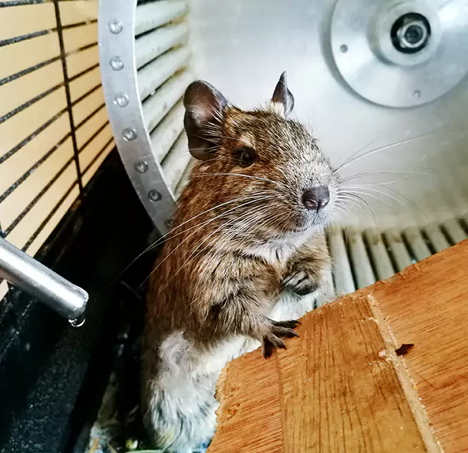 Why Homeowners & Businesses Trust Us Glendale Heights, IL