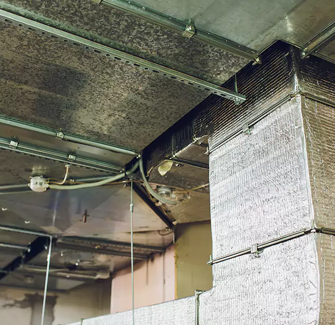 Why Homeowners & Businesses Trust Us in Glendale Heights, IL?