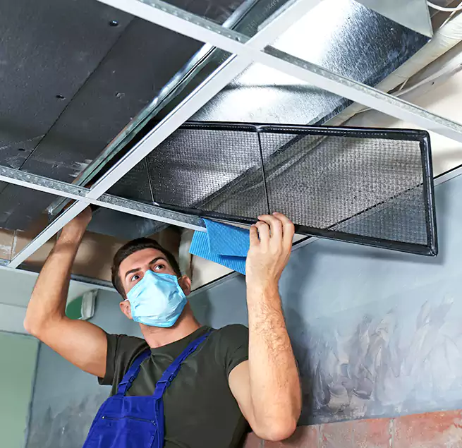 Why Homeowners Businesses Trust Us in Glendale Heights, IL